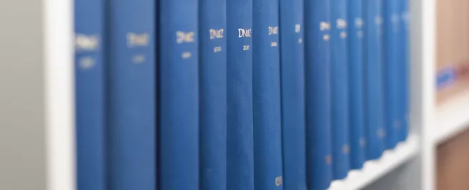 Eine Reihe mit Rechts-Litheratur - Blaue Bücher